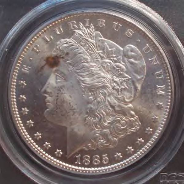 1885-Morgan---You-Vs.-PCGS